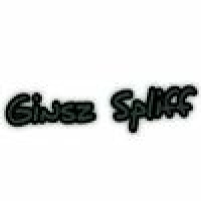 Ginsz  is looking for an Apartment in Almere