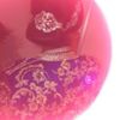 Dounia Dardouri is looking for a Rental Property / Apartment in Almere